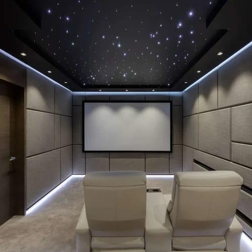 Themed Cinema