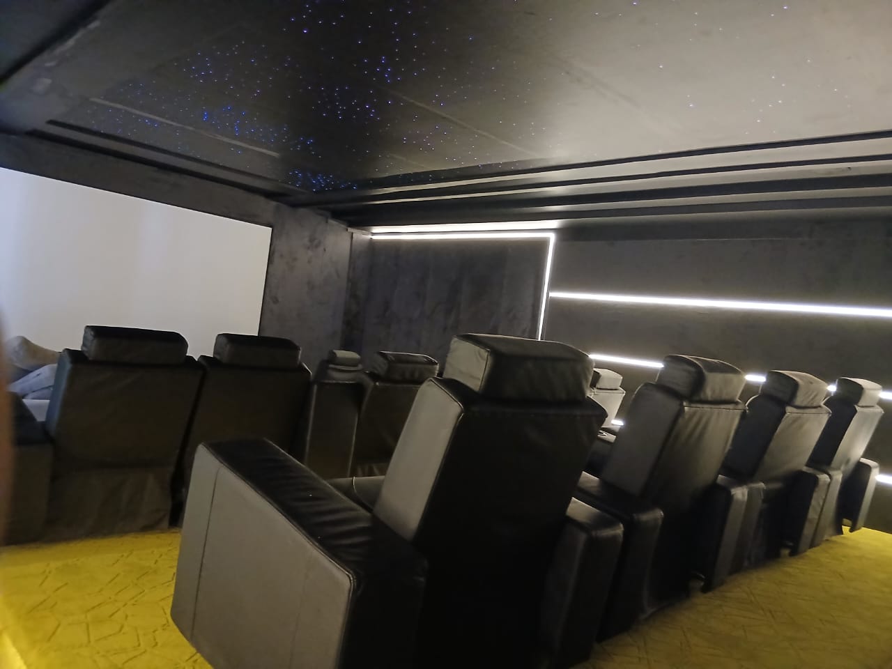 Acoustic Treatment